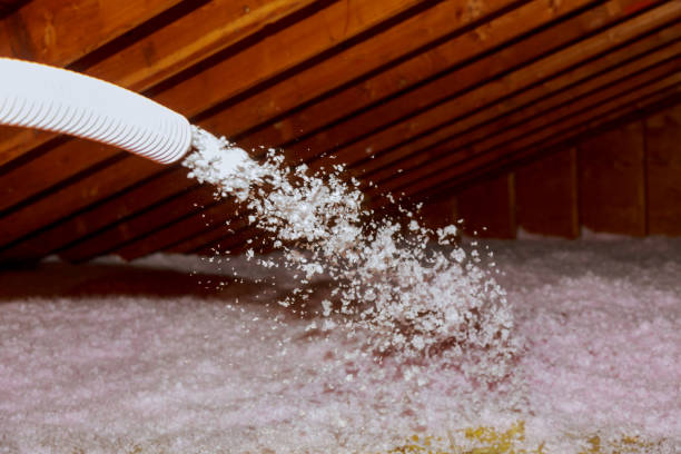 Best Commercial Insulation in Mallory, WV