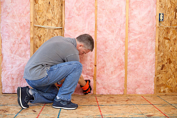 Best Insulation for Specific Applications in Mallory, WV